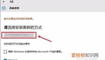 10系统怎么关闭自动更新，win0系统怎么关闭自动更新