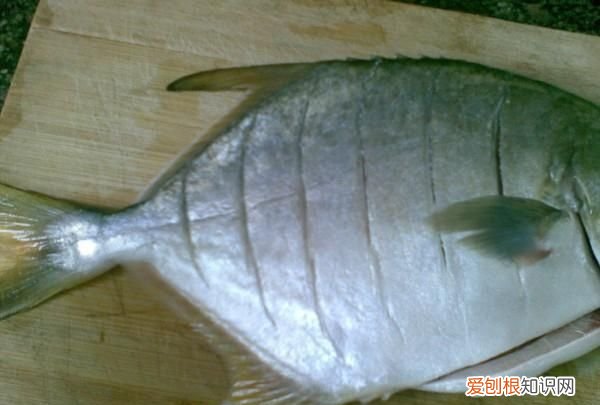 清蒸金昌鱼蒸多久，清蒸金昌鱼做法金昌鱼怎么做好吃