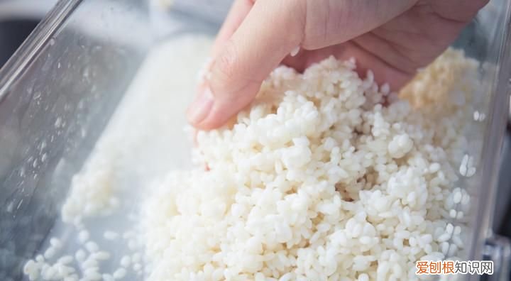 糯米泡多久可以蒸，糯米要泡到什么样才算泡好可以蒸