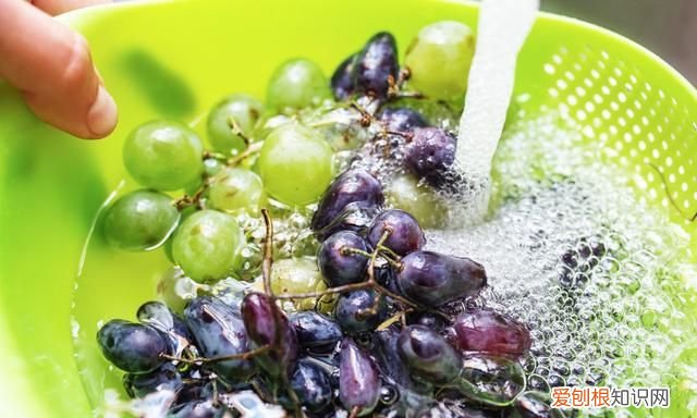 家里没牙膏了怎么应急刷牙