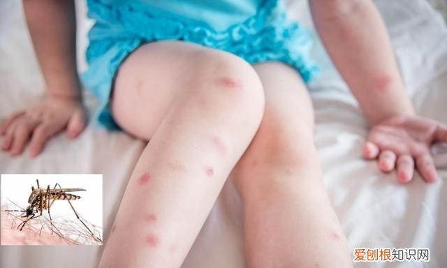 家里没牙膏了怎么应急刷牙