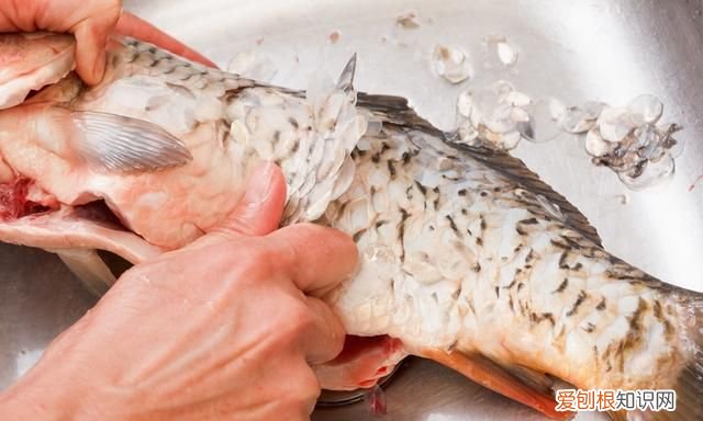 家里没牙膏了怎么应急刷牙