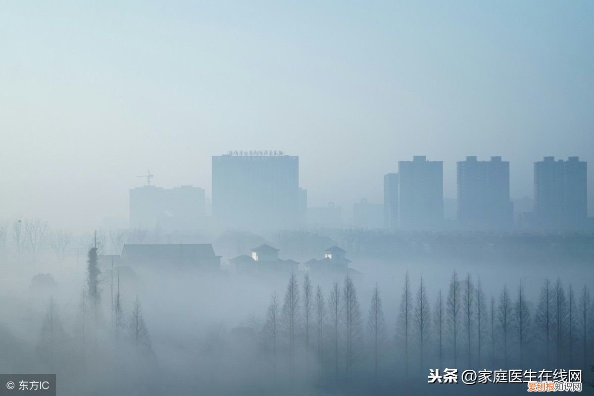 雾与霾有什么区别? 霾和雾的区别