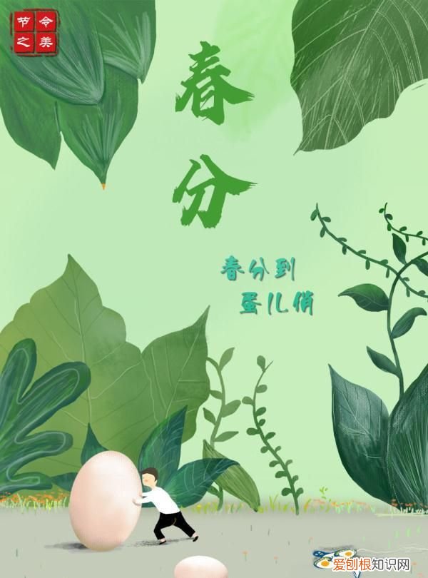 春分的风俗食物