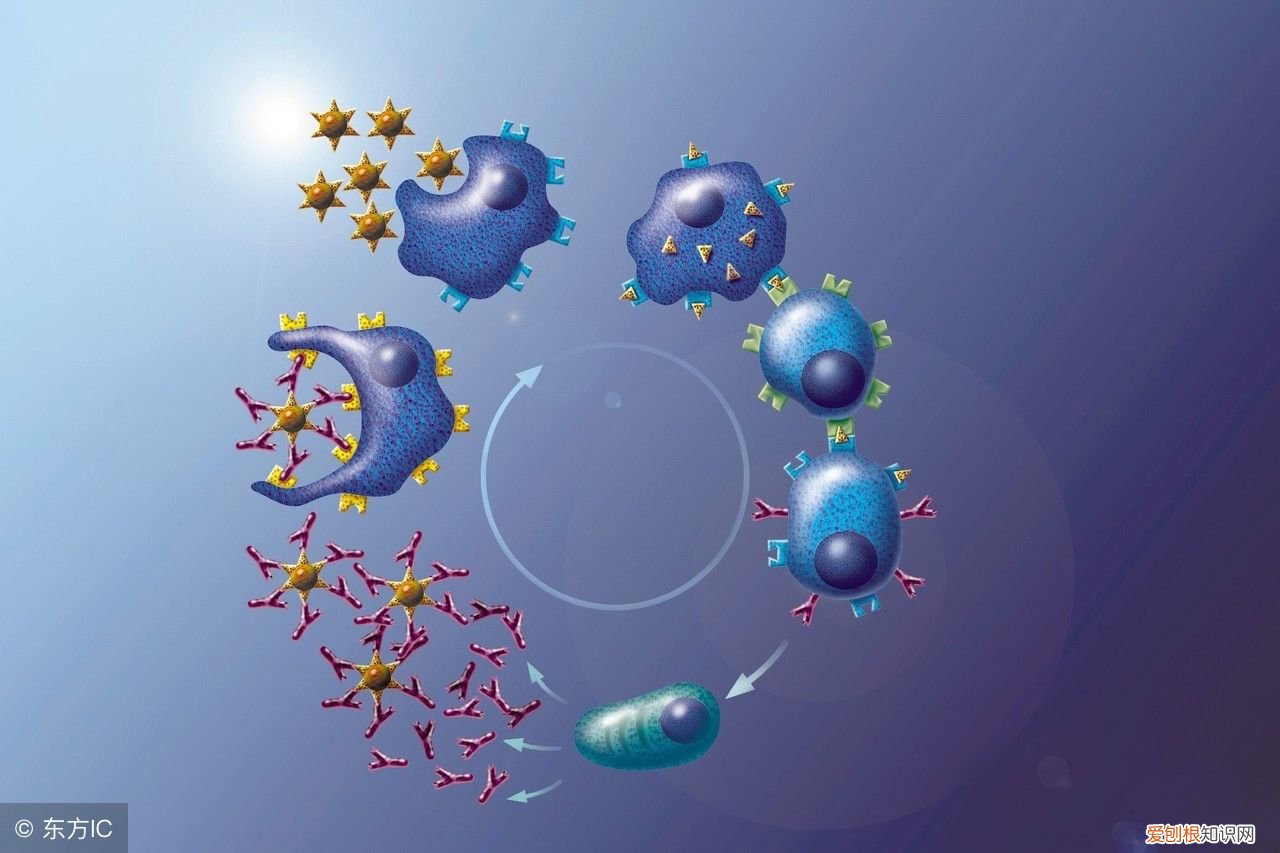 治疗扁平苔藓，要从这6方面下手 扁平苔藓治疗