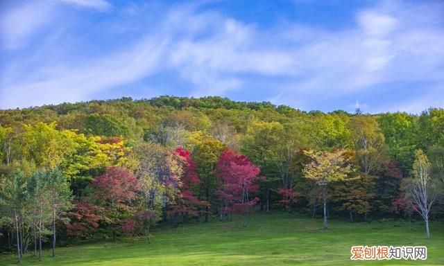 中国最特殊的5个省份 中国有四个不南不北的省份