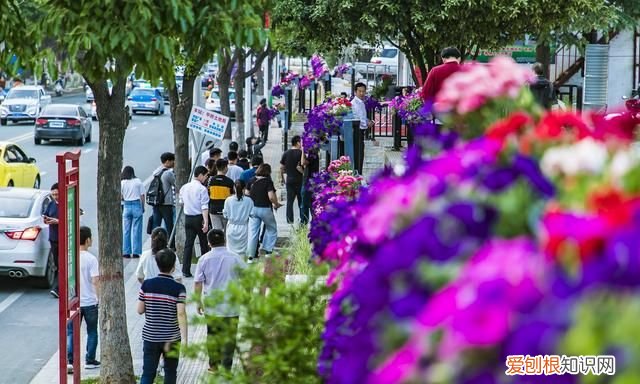 中国最特殊的5个省份 中国有四个不南不北的省份