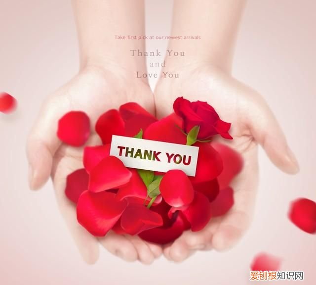 感恩节祝福语简短句子大全感谢祝福父母老师的句子