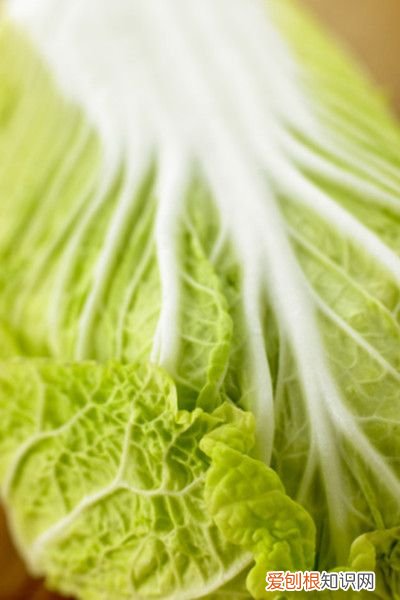 7款民间土方子祛痘偏方！ 去痘痘偏方