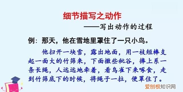 部编四年级作文生活万花筒范文,生活万花筒四年级优秀作文400以上