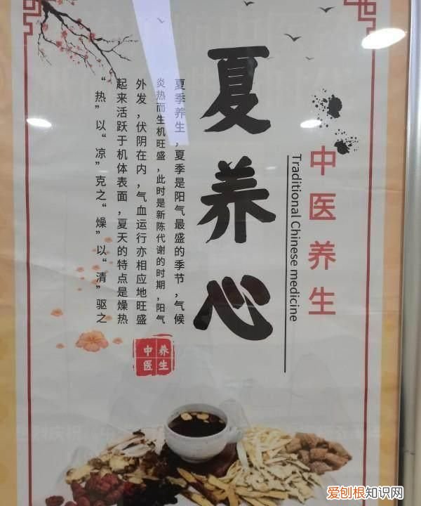 《寒食》中心