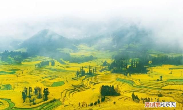 阳春三月,送你30首明媚的诗词是什么