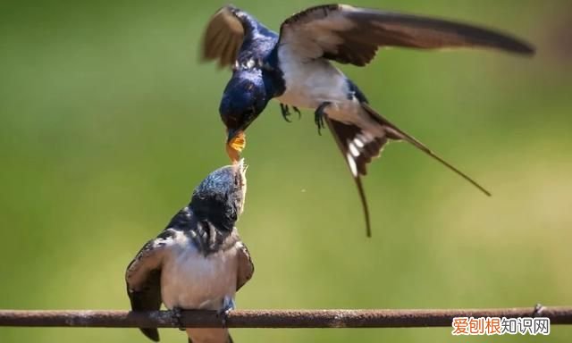 阳春三月,送你30首明媚的诗词是什么