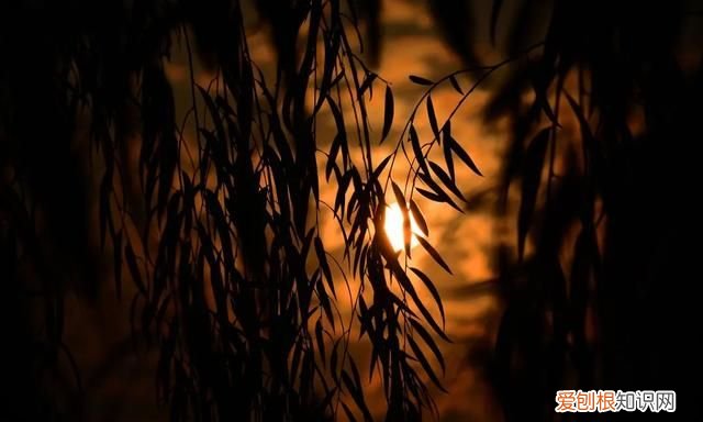 阳春三月,送你30首明媚的诗词是什么