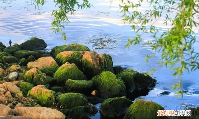 阳春三月,送你30首明媚的诗词是什么