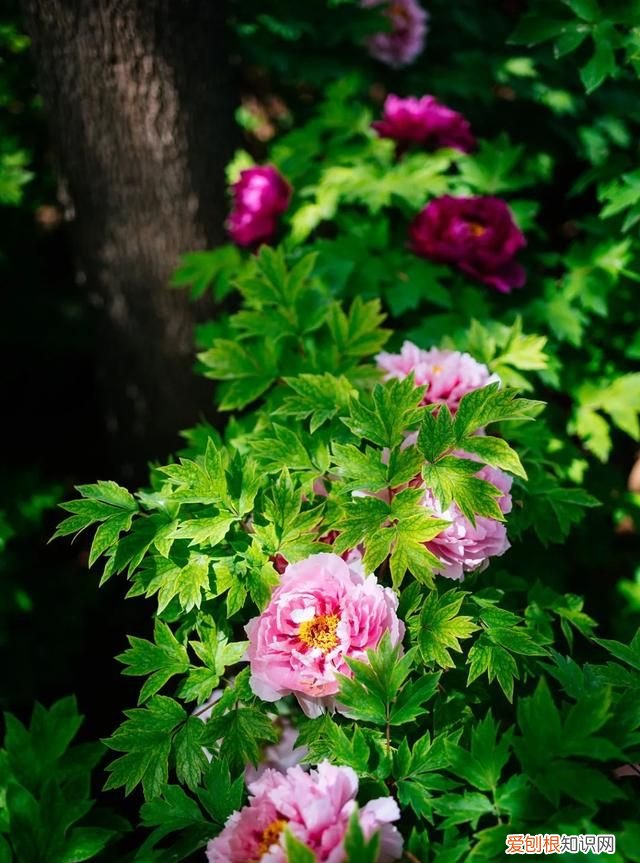 阳春三月,送你30首明媚的诗词是什么