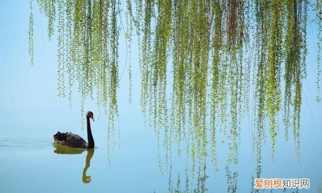 阳春三月,送你30首明媚的诗词是什么