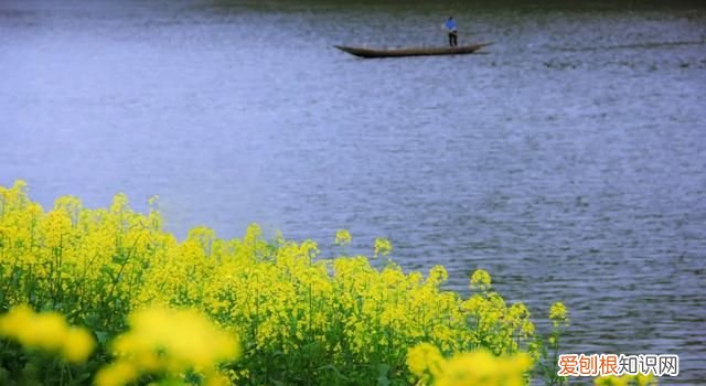 阳春三月,送你30首明媚的诗词是什么