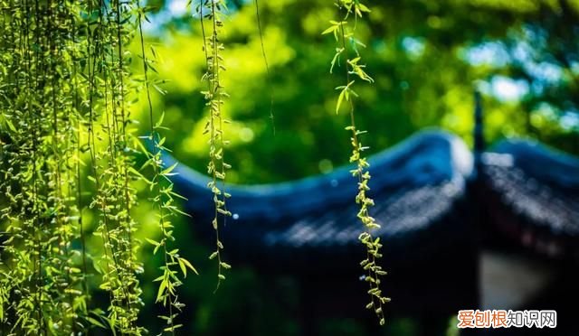 阳春三月,送你30首明媚的诗词是什么