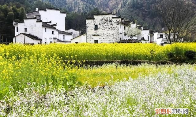 阳春三月,送你30首明媚的诗词是什么