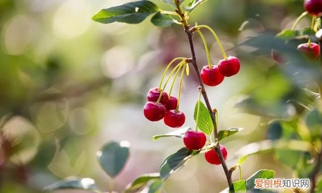 阳春三月,送你30首明媚的诗词是什么