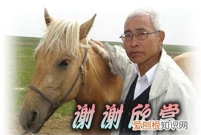 名家画马作品欣赏 画马名家王子贤