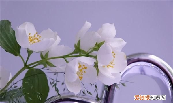 简短的晚安心语句子,晚安心语正能量人生哲理一段话