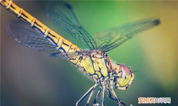 简短的晚安心语句子,晚安心语正能量人生哲理一段话