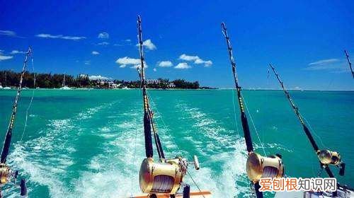 海竿的线组搭配图解 海竿组装图解