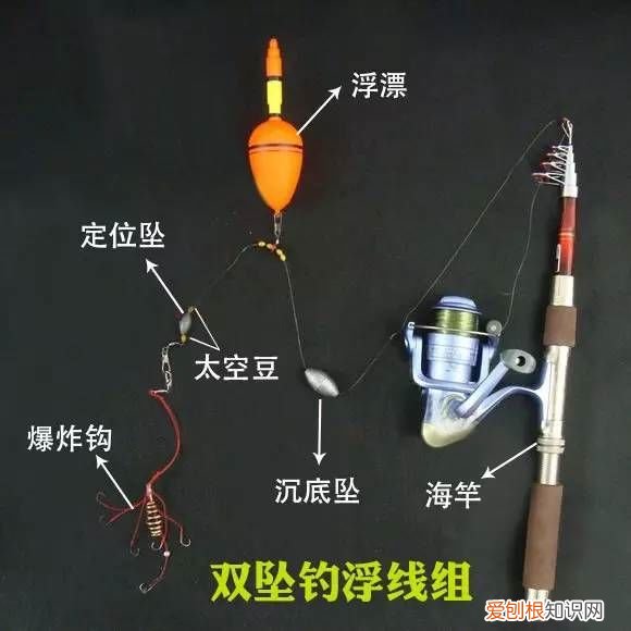 海竿的线组搭配图解 海竿组装图解