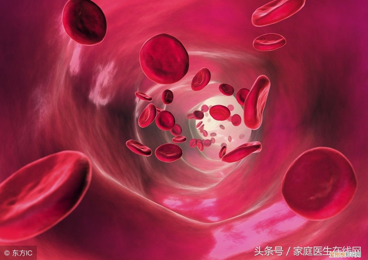 检测甲胎蛋白有什么作用? 甲胎蛋白是什么东西