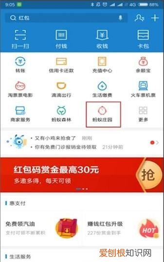 在蚂蚁庄园可以怎么样揍别人小鸡