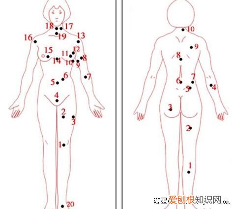 男女全身痣相图解测命运 全身痣相