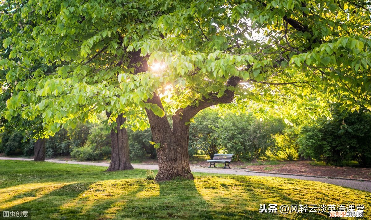 动名词作主语和宾语考点归纳 动名词作宾语