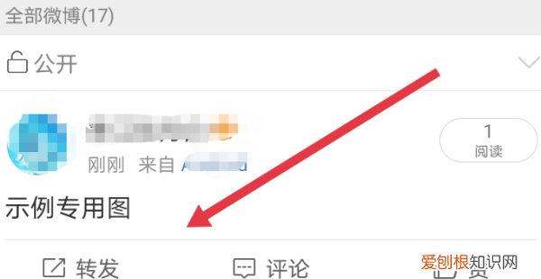 可以怎么进行发表微博，微博上怎么发微博正文