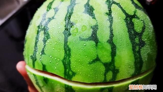 夏天买西瓜买什么样的西瓜才好吃