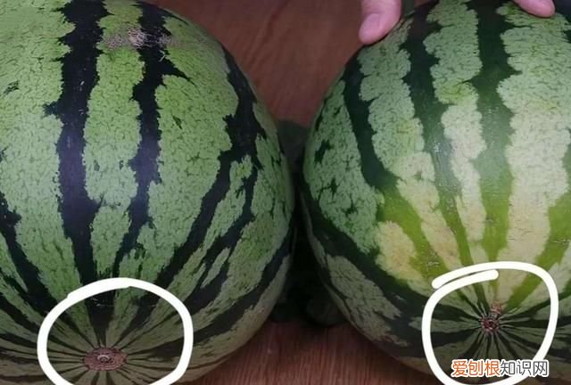 夏天买西瓜买什么样的西瓜才好吃