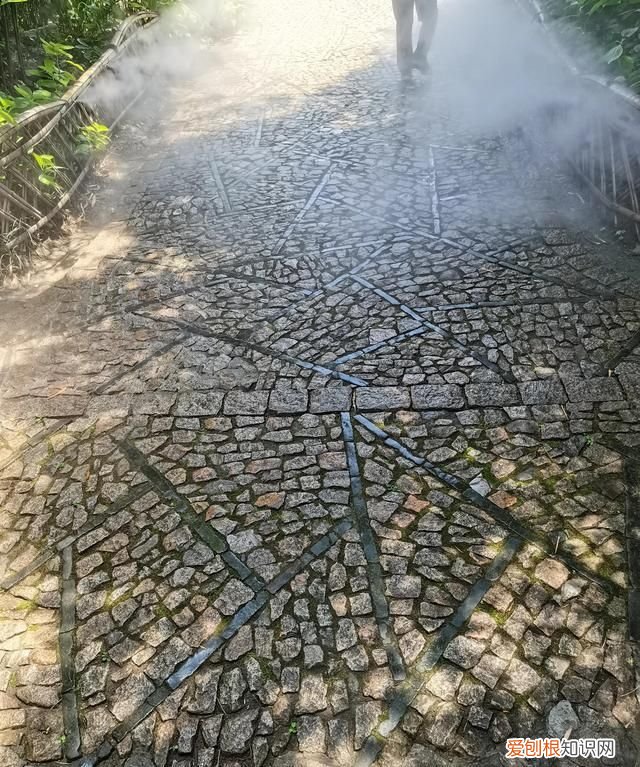 上海古漪园旅游攻略 上海的古漪园