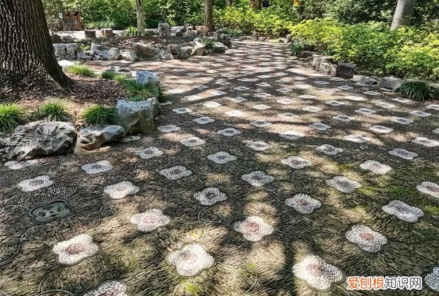 上海古漪园旅游攻略 上海的古漪园