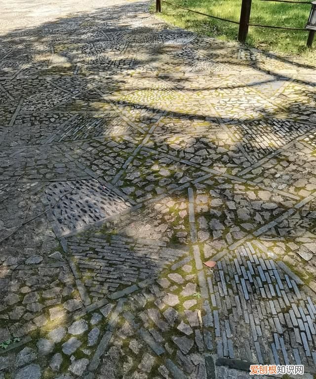 上海古漪园旅游攻略 上海的古漪园