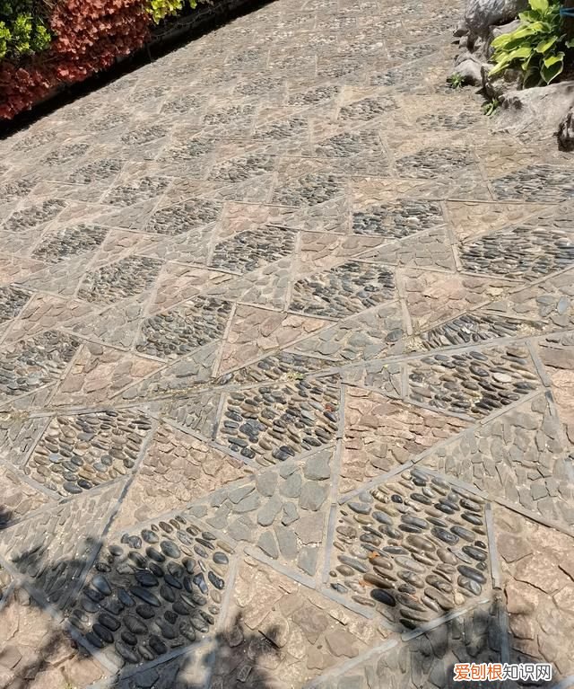 上海古漪园旅游攻略 上海的古漪园