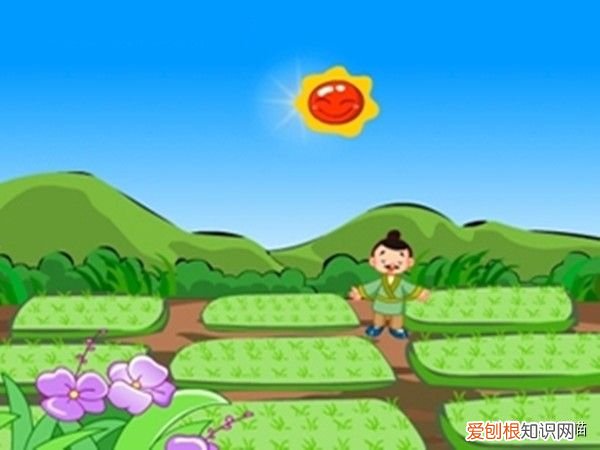 从揠苗助长的意思和寓意 拔苗助长的道理