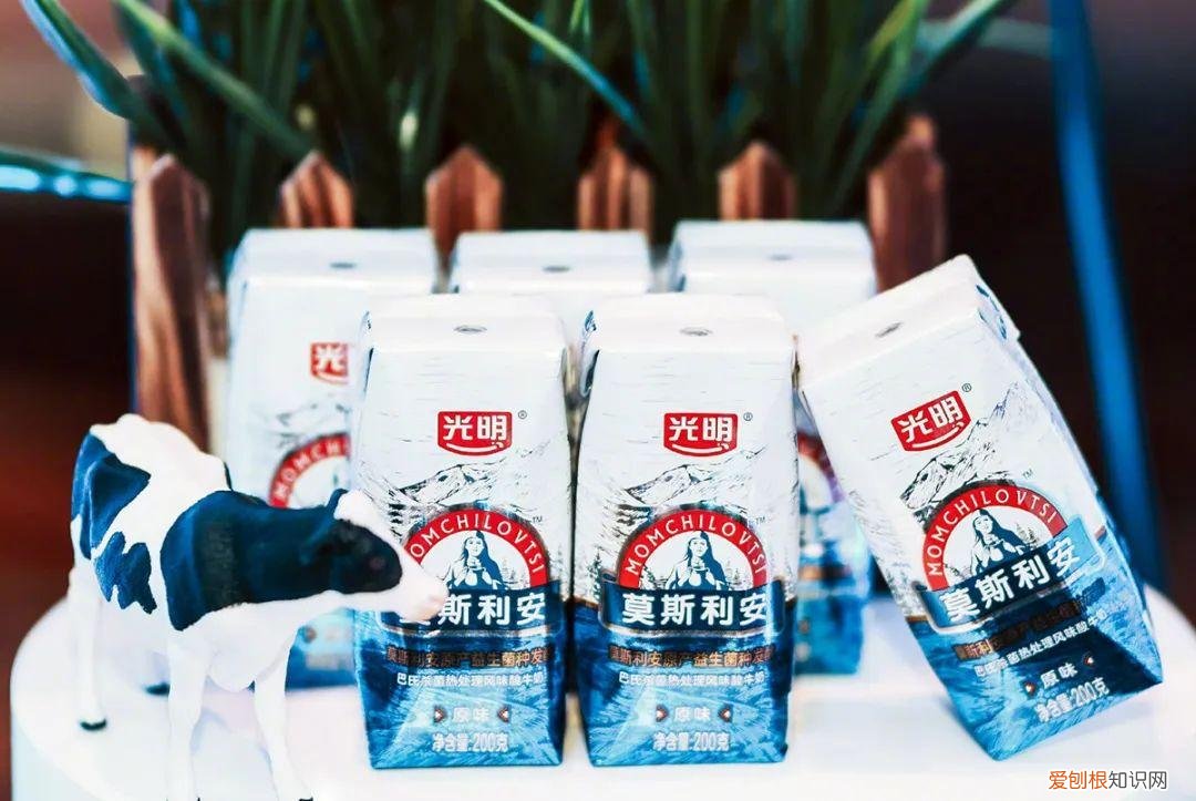 282亿光明乳业，挺过艰难的一年