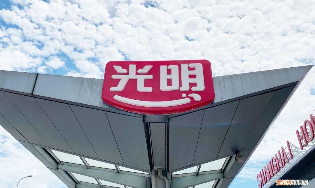 282亿光明乳业，挺过艰难的一年