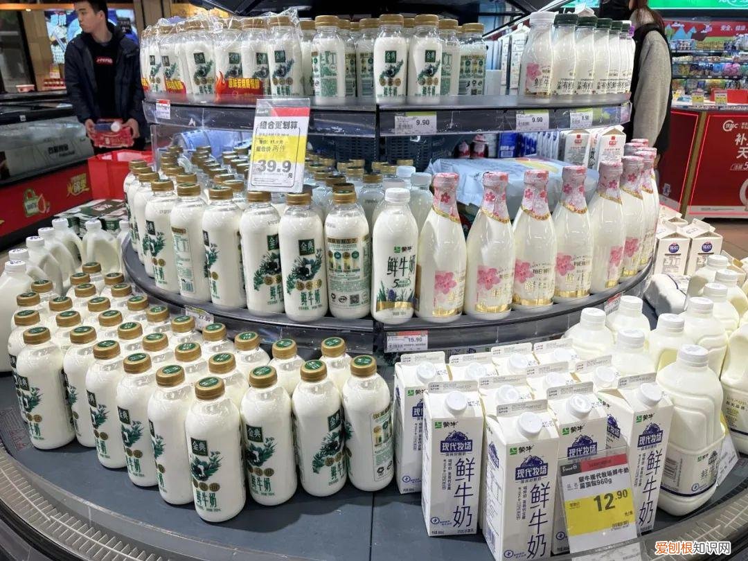 282亿光明乳业,挺过艰难的一年