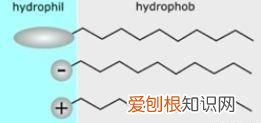 为什么沐浴露洗完身体很滑,为什么沐浴露洗过后身体还是油