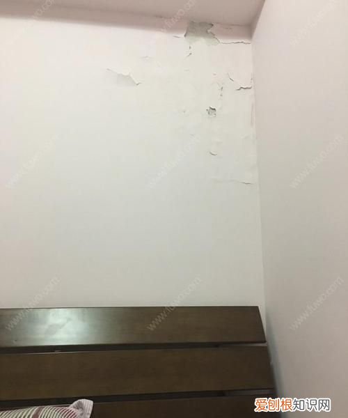 掉墙皮的墙面怎么处理