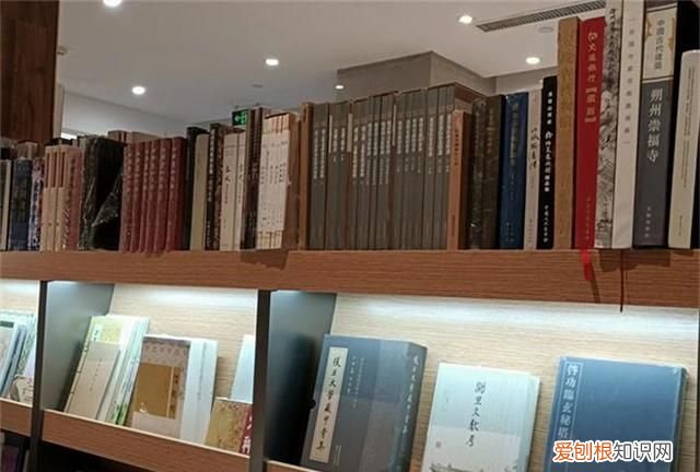 疫情下的人世间丨南京95后女孩和一个书店的“复兴”