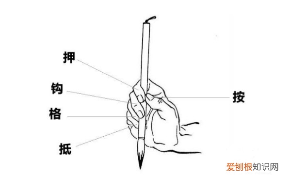初学毛笔怎么握笔，毛笔握笔的正确姿势