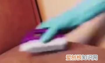 布艺沙发怎样保养，真皮沙发黄梅天怎么保养